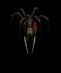 Giant Spider