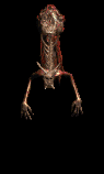 Putrid Defiler